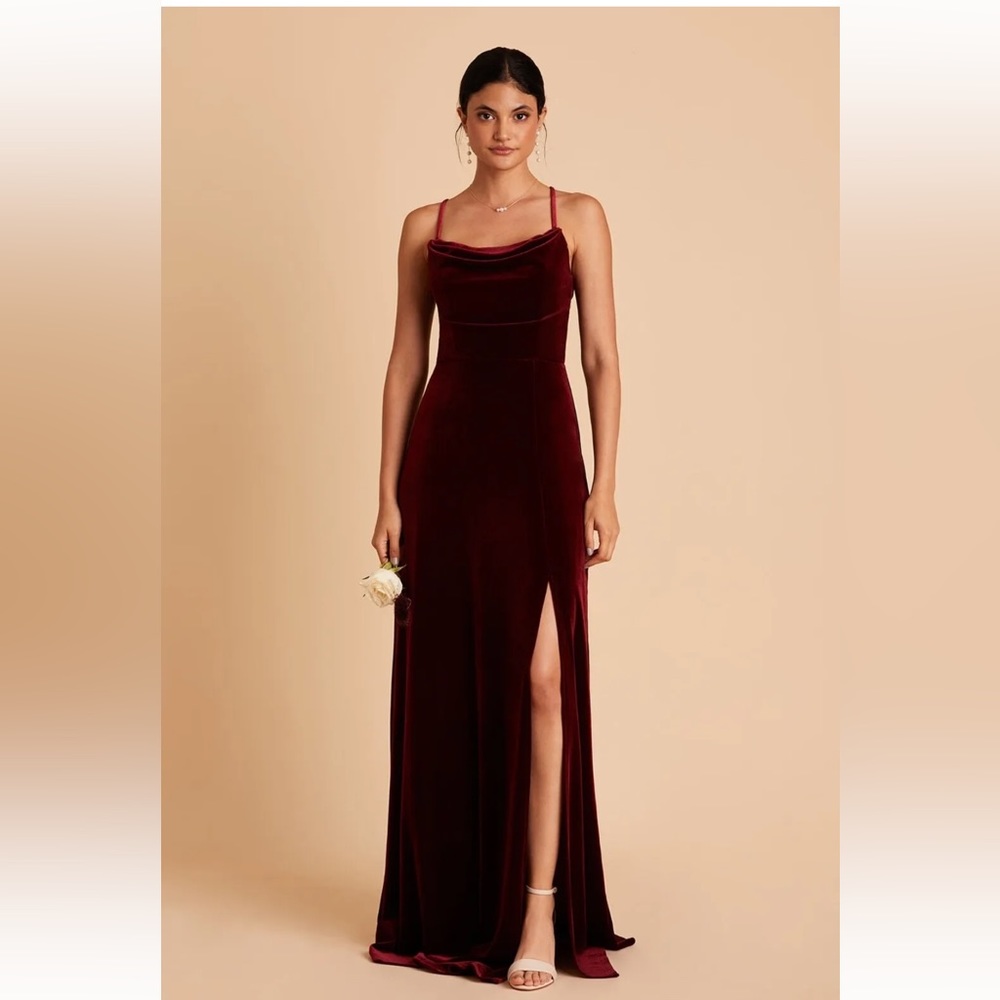 NWT Birdy Grey Ash Dress in Velvet Cabernet Size XS
